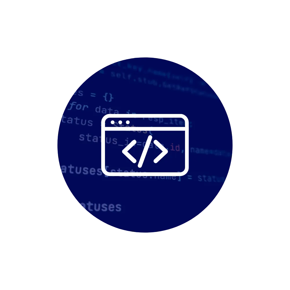 Program Overview