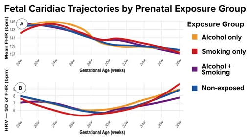 Graph of fetal heart rate across different exposure conditions.