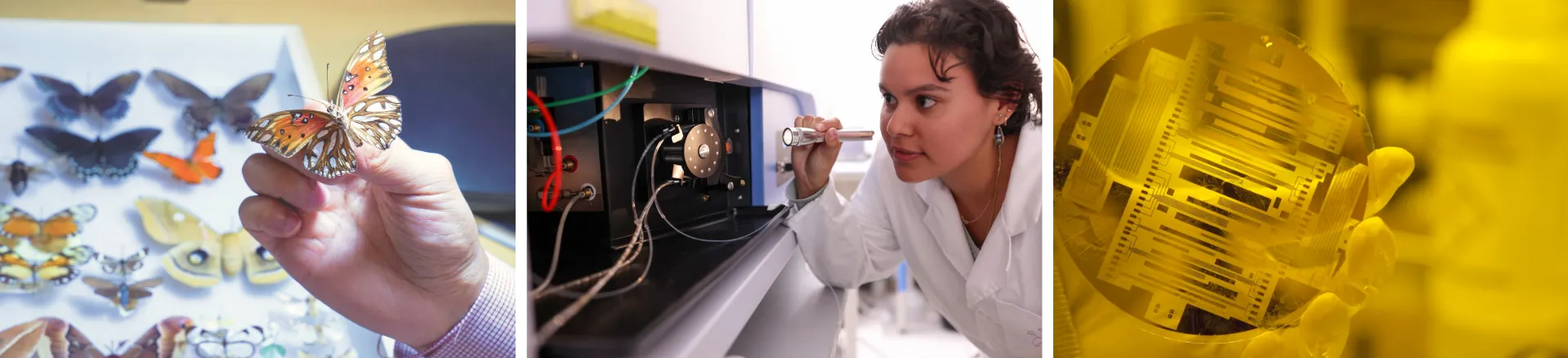 students and research