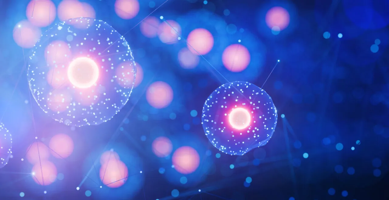 image of cells