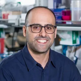 Photo of Tal Danino