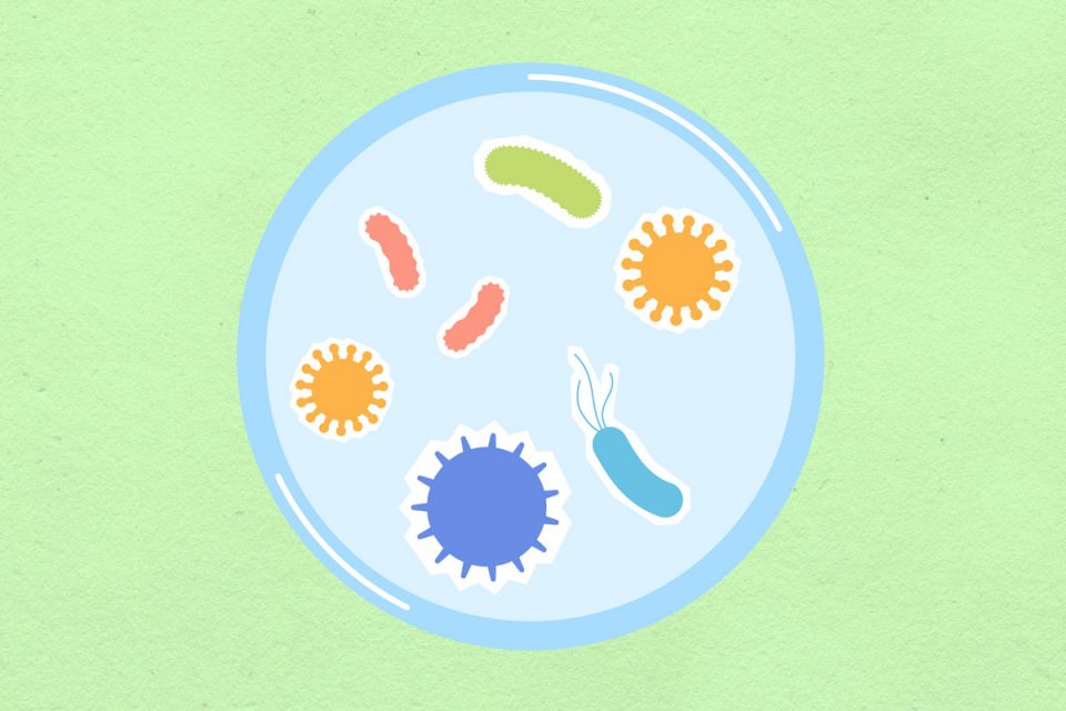 Microbes